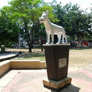 Sgreen Comidas Incluidas , Cali Colombia